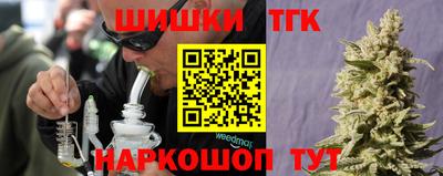 гашик Волжский