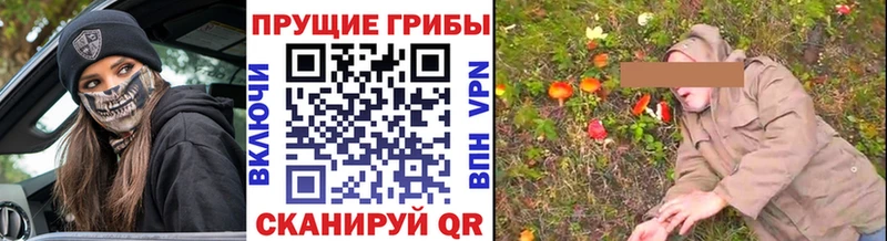 даркнет сайт  Ртищево  Галлюциногенные грибы GOLDEN TEACHER 